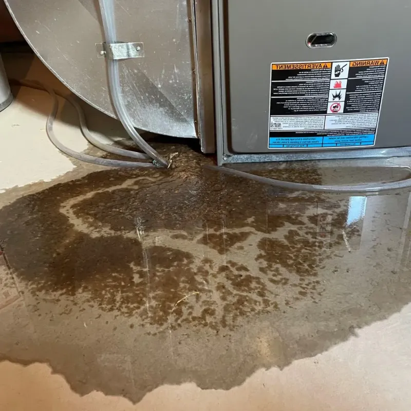Pipe Burst and Leak Restoration in Loa, UT
