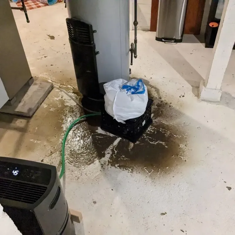 Sewage Backup Cleanup Service in Loa, UT